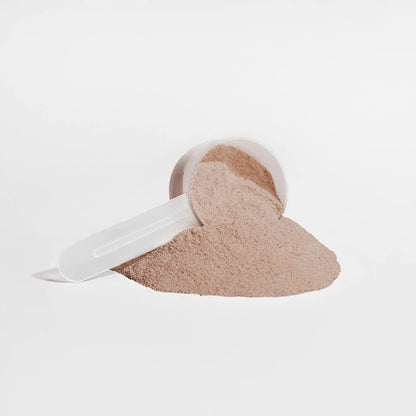 Plant Protein (Chocolate)